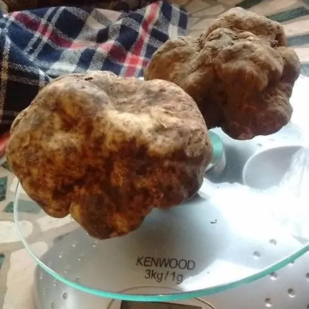 San Candido * Murisengo